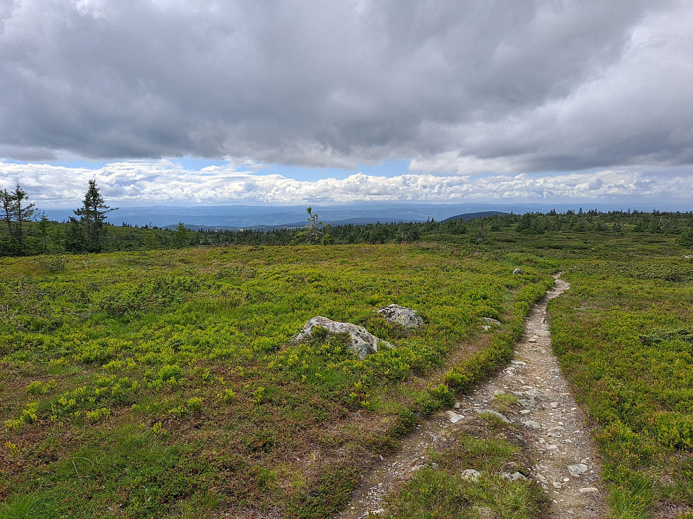 På Lunkefjell vest