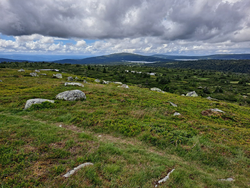 På Høgfjellet