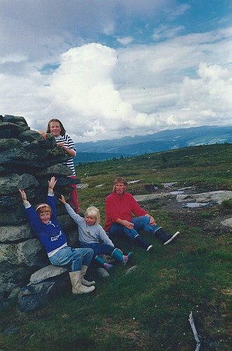 På Hærfjellet