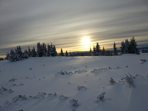 På Gjestebodåsen