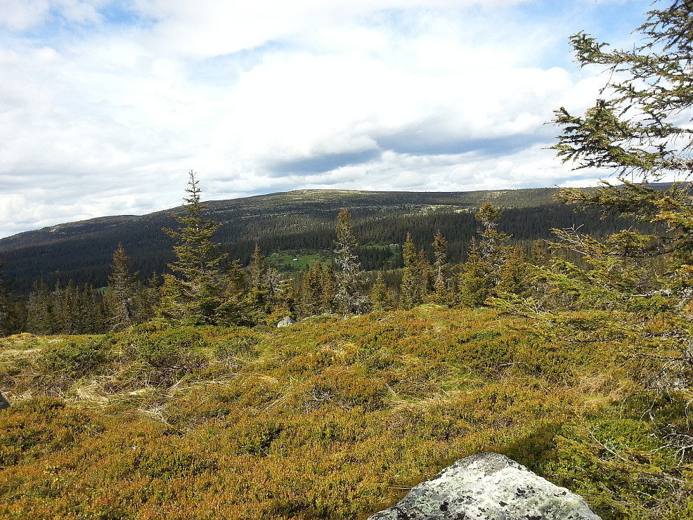 Fra Grøtåshaugen mot Nevelfjell