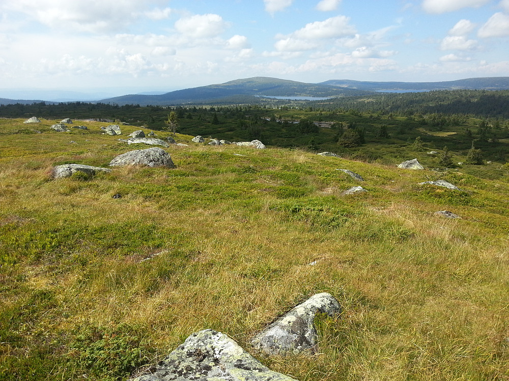 På Høgfjellet