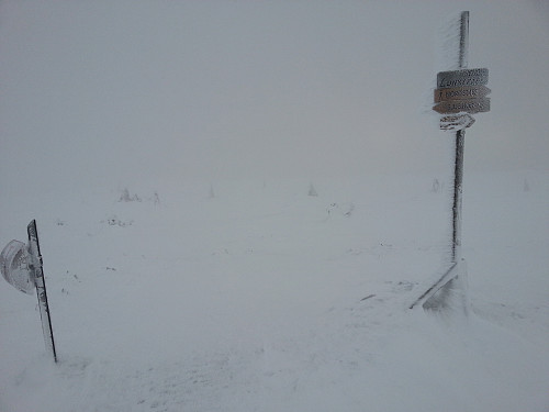 På  Lunkefjell