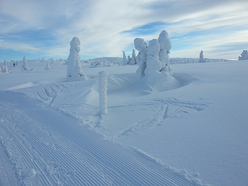 Utsikt mot Lunkefjell