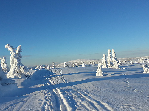Mot Nevelfjell