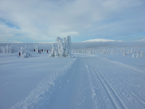 Utsikt mot Nevelfjell