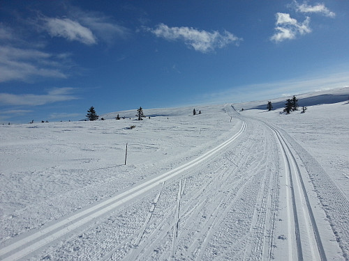 Mot Snørvillen