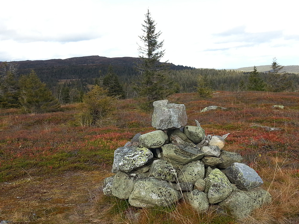 Varden på Kufjellet