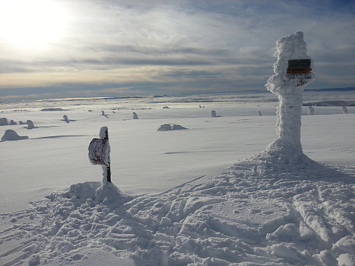 På Lunkefjell