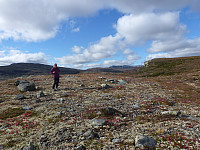 På stien med utsikt mot Nontjønnkampen, Sørvestre Risåhøgda, Nordre Langsua og Søre Risåhøgda