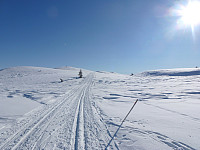 Innover mot Gammelhans