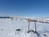 På Sjusjøfjellet