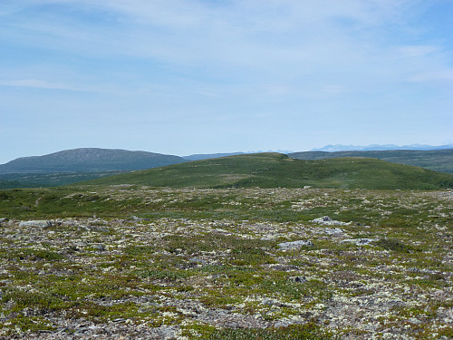Midtre Suluhøgda med Ongsjøfjellet bak