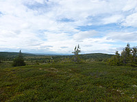 Så da er vel Søre Hærfjellet her det vel her