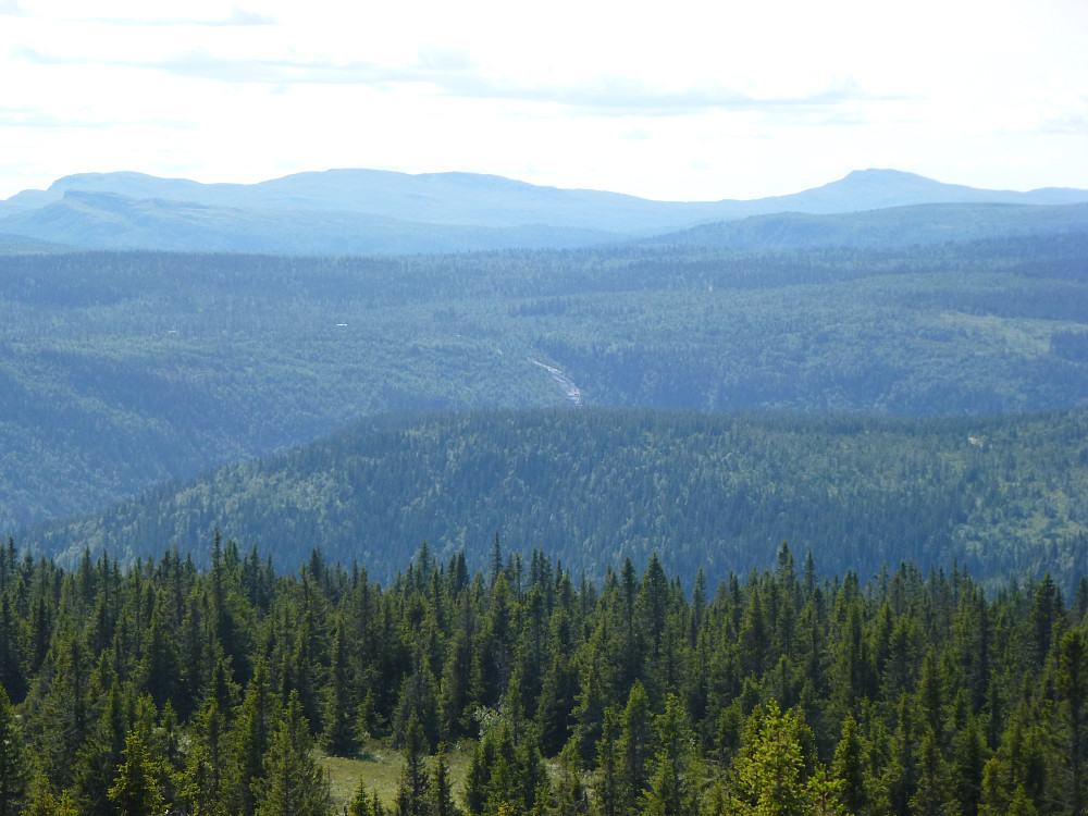 Utsikt mot Vestfjellet på Kyrakampen