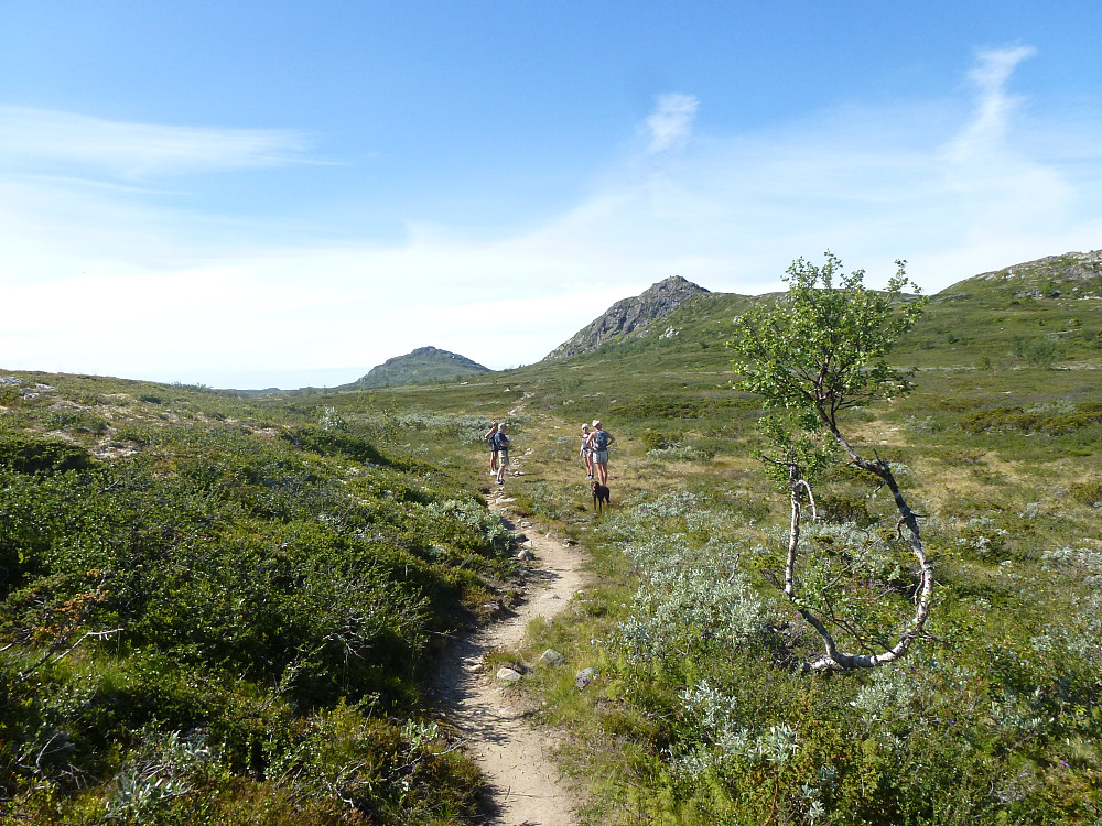 Tilbakeblikk på toppen