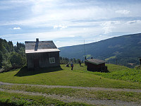 sinyg_p1040623.jpg