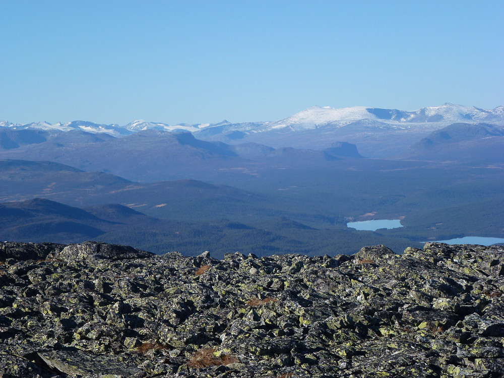 Jotunheimen Nautgardstind