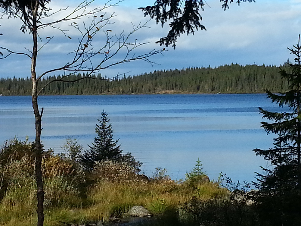 Sjogen