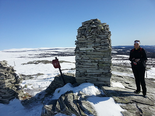 Anne Marit på Veslefjellet 1029