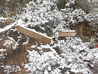 reikri_20190309_5c840f49dd478.jpg