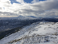 reikri_20190310_5c8572d7a3181.jpg