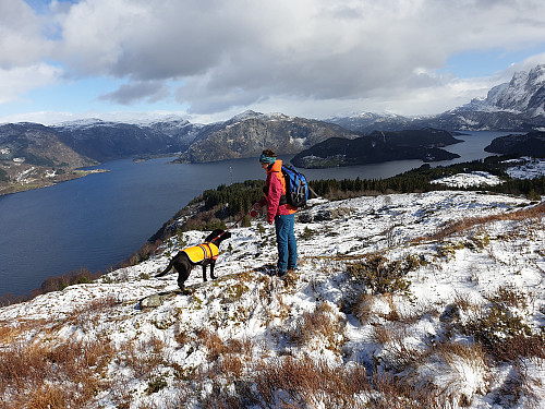 Mot Gjøringbøfjellet 