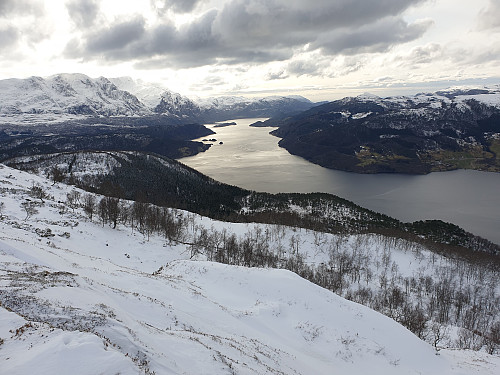 Førdefjorden