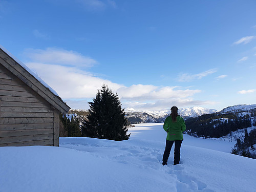 fin utsikt utover Langelandsvatnet