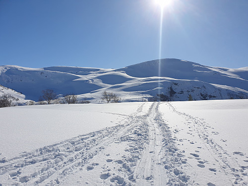 Sol heile vegen til toppen