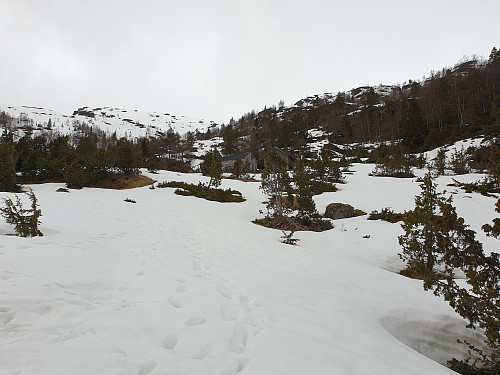 Snø det siste stykke