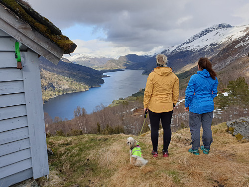Fin utsikt mot Viksdalsvatnet