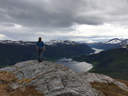 utsikt mot Hestadfjorden og Viksdalsvatnet