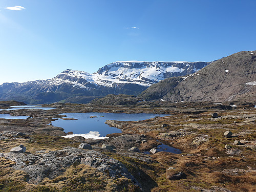 fin utsikt mot Blægja