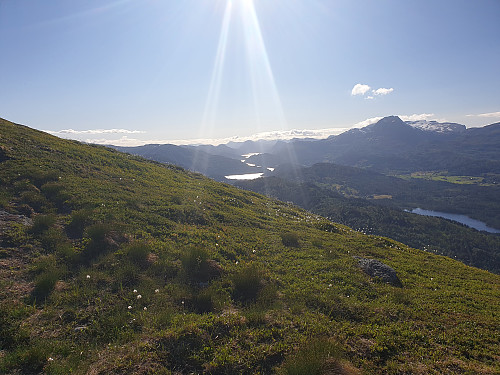 mot Dalsfjorden