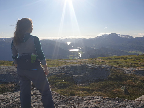 mot Dalsfjorden