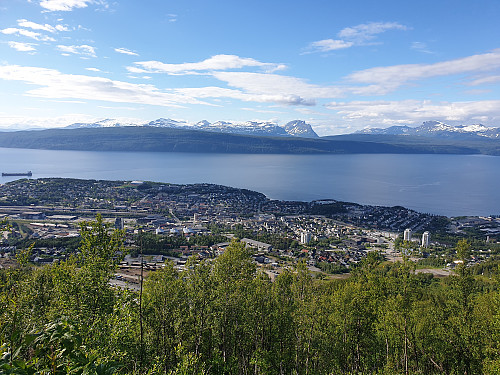 Narvik