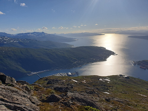 Ofotfjorden