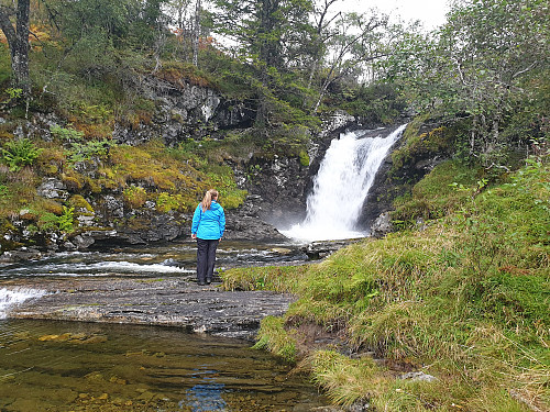 Ved Svindalen
