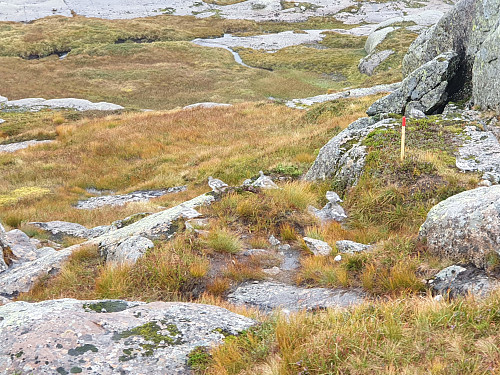 Kjekt å treffe ryper på tur