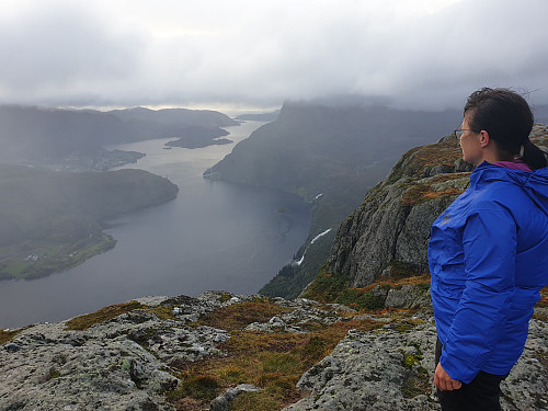 Utsikt mot Dale