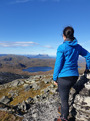 Frå toppen