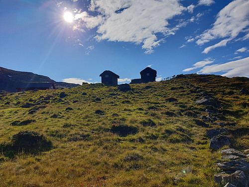 Gøyvinga