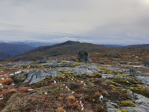 Trebønipa 