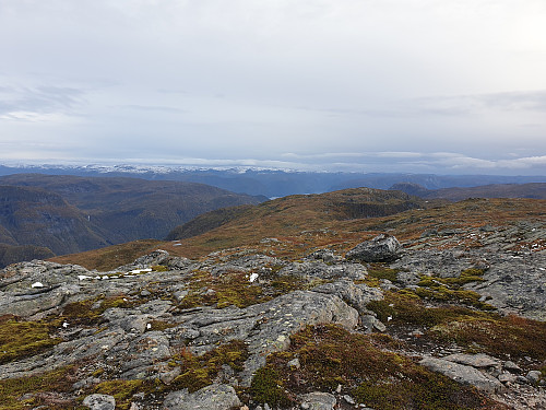 Utsikt mot Sognefjorden sett frå Trebønipa