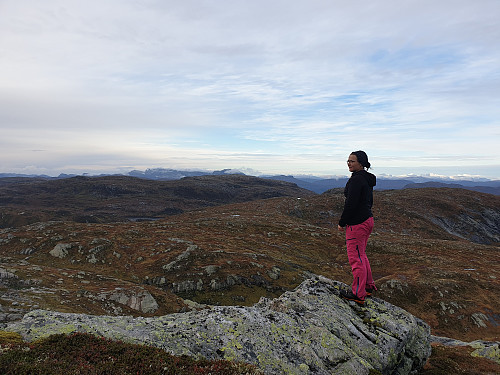 Trebønipa. Snø på toppane i det fjerne