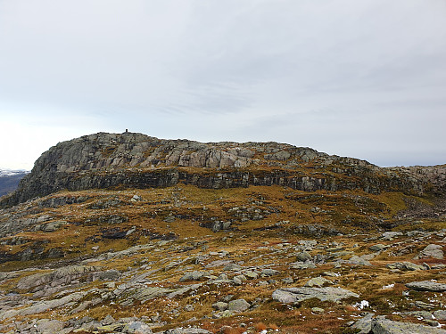 Trebønipa