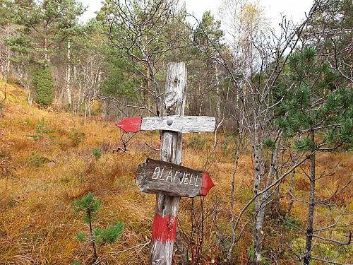 Tok venstre stien(begge pilene er merka mot Blåfjell)