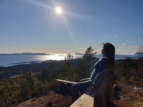 Kvilebenk på toppen