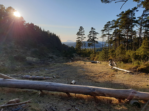 Fint turmål